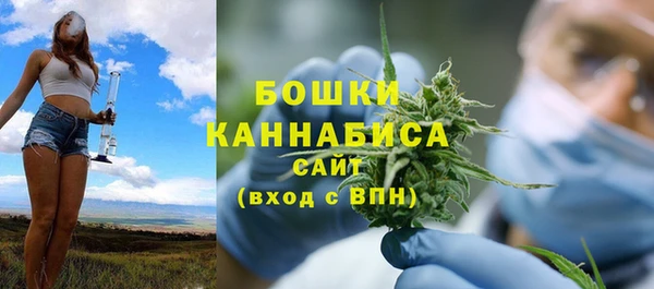 СК Богородск