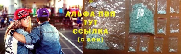 СК Богородск