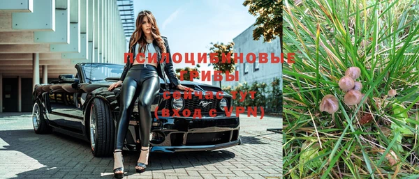 метамфетамин Богданович