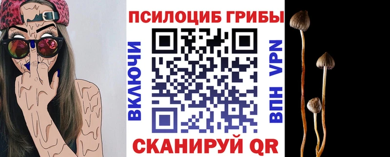 сколько стоит  Калуга  OMG ССЫЛКА  Галлюциногенные грибы Psilocybine cubensis 